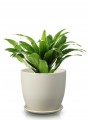 Doniczka ceramiczna z podstawką 15 cm kremowa