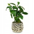 Doniczka ceramiczna na kwiaty 14 cm złota
