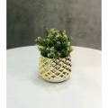 Doniczka ceramiczna na kwiaty 14 cm złota