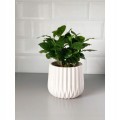Doniczka ceramiczna ryflowana 13 cm biała