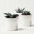 Osłonka ceramiczna na storczyki 15 cm biała