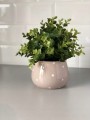 Doniczka ceramiczna w kropki 10 cm kremowa