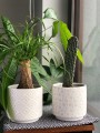 Doniczka ceramiczna cylinder wzór 13 cm biała