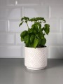 Doniczka ceramiczna cylinder wzór 13 cm biała