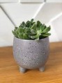 Doniczka ceramiczna na nóżkach 11,5 cm szara