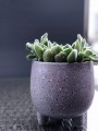 Doniczka ceramiczna na nóżkach 13 cm szara