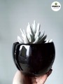 Doniczka ceramiczna kula 11 cm czarna