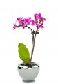 Doniczka ceramiczna misa 16 cm srebrna