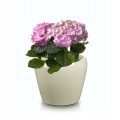 Doniczka ceramiczna na kwiaty 12,5 cm kremowa