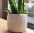Doniczka ceramiczna na kwiaty 13 cm biała