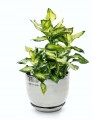 Doniczka ceramiczna z podstawką 16 cm srebrna