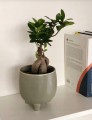 Doniczka ceramiczna na nóżkach 12 cm oliwkowa