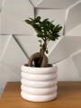 Doniczka ceramiczna cylinder 13 cm biała