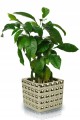 Doniczka ceramiczna na kwiaty 15 cm złota
