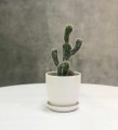 Doniczka ceramiczna z podstawką biała 17 cm