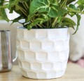 Doniczka ceramiczna na kwiaty biała 12,5 cm