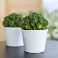 Doniczka ceramiczna na kwiaty biała 8,5 cm