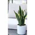 Doniczka ceramiczna na małe kwiaty biała 8 cm
