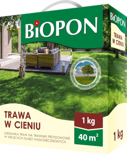 Trawa w cieniu gazonowa nasiona 1 kg