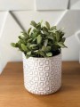Doniczka ceramiczna okrągła biała 13 cm
