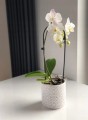 Doniczka ceramiczna okrągła biała 13 cm