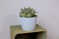 Doniczka osłonka plastikowa biała 14 cm Magnolia Jumper
