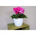 Doniczka osłonka plastikowa biała 14 cm Magnolia Jumper