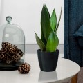 Doniczka osłonka plastikowa czarna 15,5 cm Magnolia