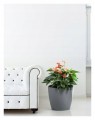 Doniczka osłonka plastikowa szara 13,5 cm Magnolia
