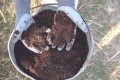 Ziemia uniwersalna do kwiatów roślin BIO naturalna 10L