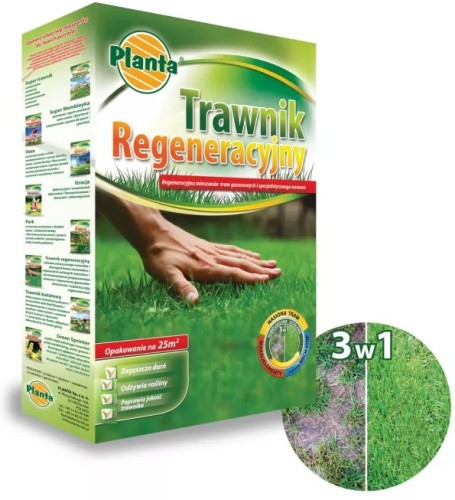 Nasiona trawy trawnik regeneracyjny z nawozem 1 kg