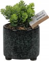 Sztuczna roślina w ceramicznej doniczce 20 cm