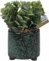 Sztuczna roślina w ceramicznej doniczce 20 cm