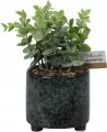 Sztuczna roślina w ceramicznej doniczce 20 cm