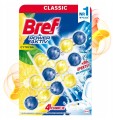bref-min_colorful-min.jpg