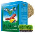 Trawa nasiona Victoria słoneczna 0.8kg