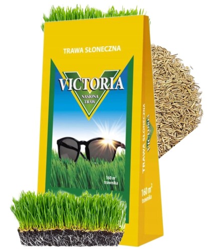 Trawa nasiona Victoria słoneczna na suche tereny 4kg