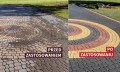 9292242a49208e88e0ed7ee9ba37.jpg