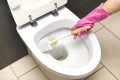 Płyn do czyszczenia WC Tytan zielony 700g