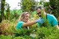 Hortifoska nawóz do iglaków zdrowe wybarwienie 10 kg