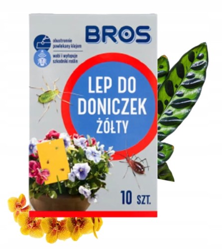 Środek wabiący szkodniki roślin pułapka do doniczek Bros 10 szt