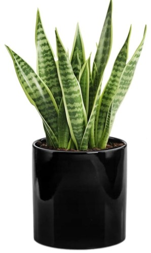 Osłonka ceramiczna czarna walec 23 cm
