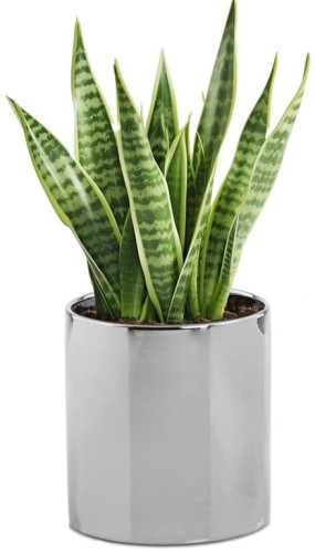 Osłonka ceramiczna srebrna walec 23 cm