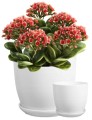 Doniczka ceramiczna z podstawką biała 21 cm