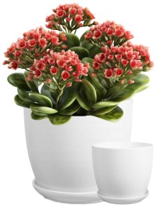 Doniczka ceramiczna z podstawką biała 21 cm