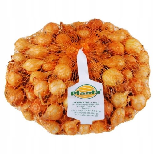 Cebula dymka żółta do sadzenia łagodny smak 0,5 kg 15-21 mm