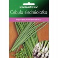 Cebula siedmiolatka nasiona na szczypior soczysty delikatny