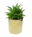 Osłonka złota ceramiczna 20x20cm walec
