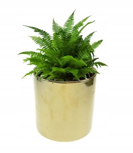 Osłonka złota ceramiczna 20x20cm walec