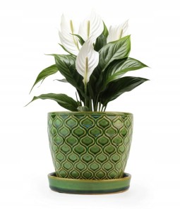 Osłonka ceramiczna zielona z podstawką 12x10cm